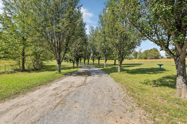 37 Lackey Rd, Kelso, TN 37348 - photo 39