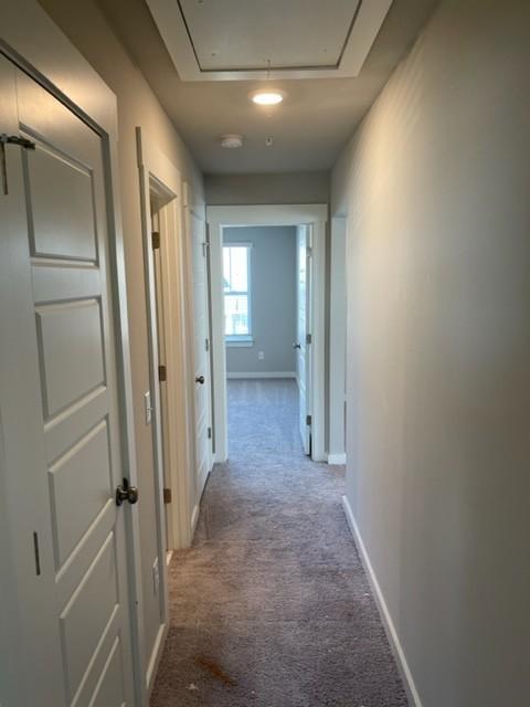 341 Casper Dr, Spring Hill, TN 37174 - hall with attic access, carpet flooring, and baseboards