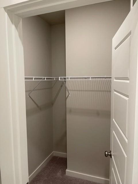 341 Casper Dr, Spring Hill, TN 37174 - walk in closet with dark colored carpet