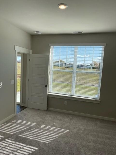341 Casper Dr, Spring Hill, TN 37174 - carpeted empty room featuring visible vents, a wealth of natural light, and baseboards