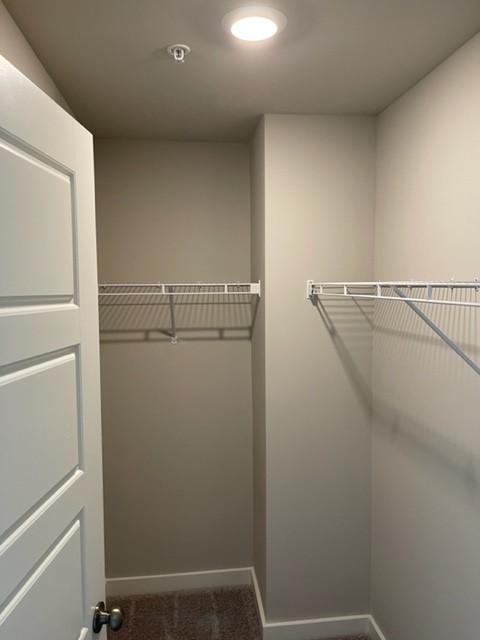 341 Casper Dr, Spring Hill, TN 37174 - spacious closet featuring carpet flooring