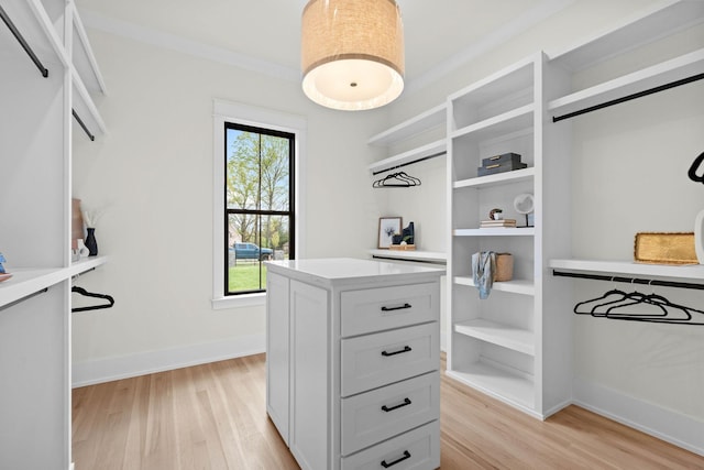 spacious closet featuring light wood finished floors