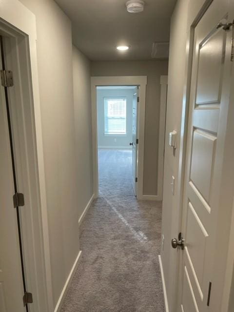 2216 Hospitality Ln, Murfreesboro, TN 37128 - photo 27