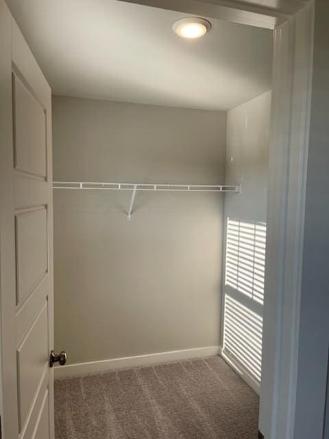 2219 Hospitality Ln, Murfreesboro, TN 37128 - photo 20