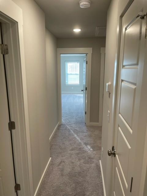 2219 Hospitality Ln, Murfreesboro, TN 37128 - photo 25