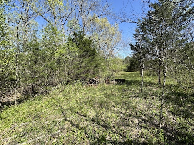 0 Canoe Branch Rd, Lebanon, TN 37087
