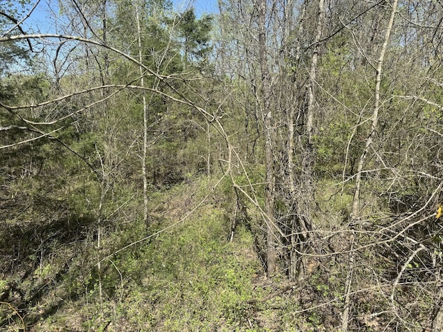 0 Canoe Branch Rd, Lebanon, TN 37087