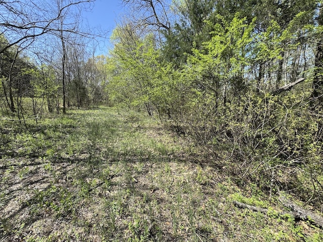 0 Canoe Branch Rd, Lebanon, TN 37087