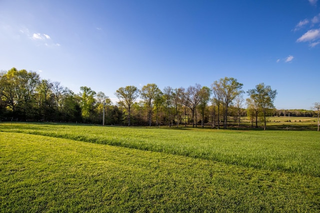 0 Burnt Hill Rd, Unionville, TN 37180 - view of yard featuring a rural view