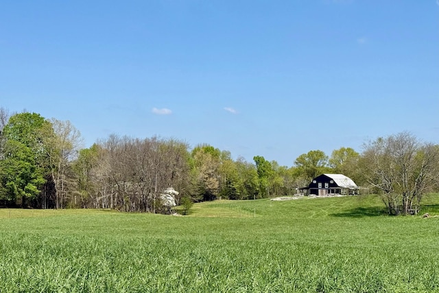0 Burnt Hill Rd, Unionville, TN 37180 - view of yard with a barn