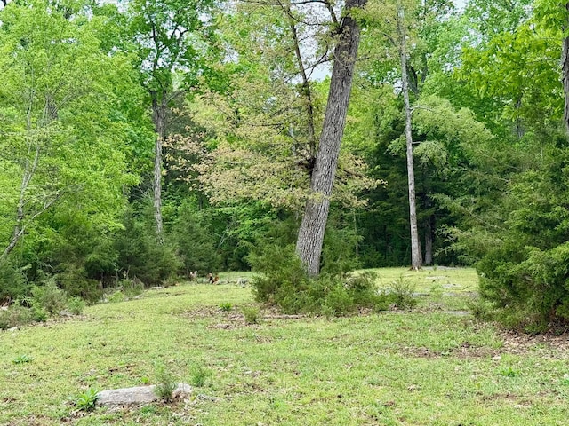 0 Burnt Hill Rd, Unionville, TN 37180 - view of nature with a forest view