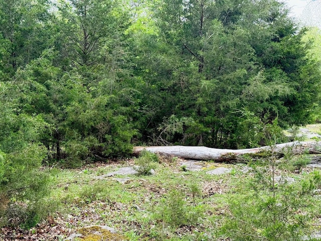 0 Burnt Hill Rd, Unionville, TN 37180 - view of local wilderness featuring a wooded view