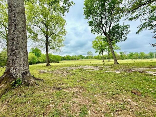 0 Burnt Hill Rd, Unionville, TN 37180 - view of yard