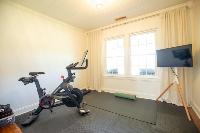 501 Burnt Hill Rd, Unionville, TN 37180 - exercise area featuring ornamental molding, baseboards, and visible vents