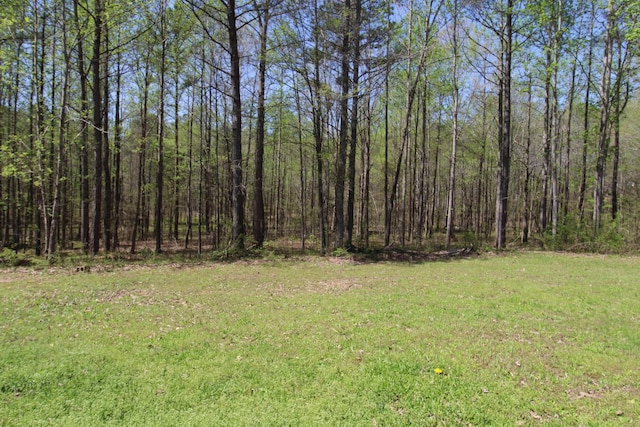 320 Benson Rd, Reagan, TN 38368 - view of yard featuring a forest view