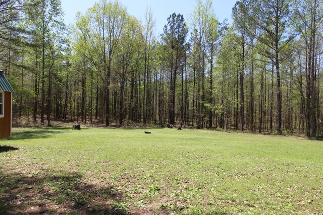 320 Benson Rd, Reagan, TN 38368 - view of yard featuring a view of trees