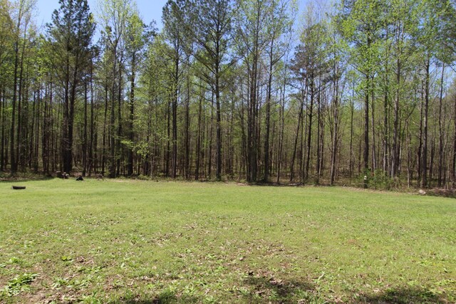 320 Benson Rd, Reagan, TN 38368 - view of yard with a forest view