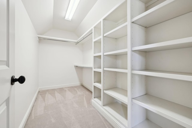 61 Harbor Cove Dr, Old Hickory, TN 37138 - walk in closet featuring vaulted ceiling and carpet floors