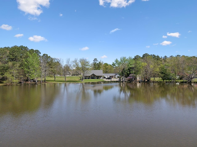208 Lakeview Dr, Hohenwald, TN 38462 - water view