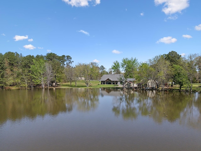 208 Lakeview Dr, Hohenwald, TN 38462 - water view