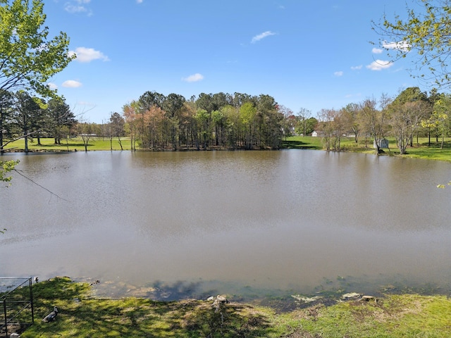 208 Lakeview Dr, Hohenwald, TN 38462 - water view