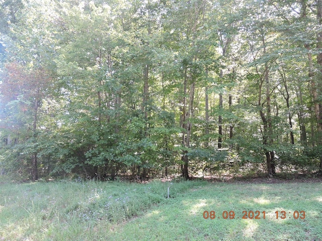 0 Hasty Ln, Estill Springs, TN 37330