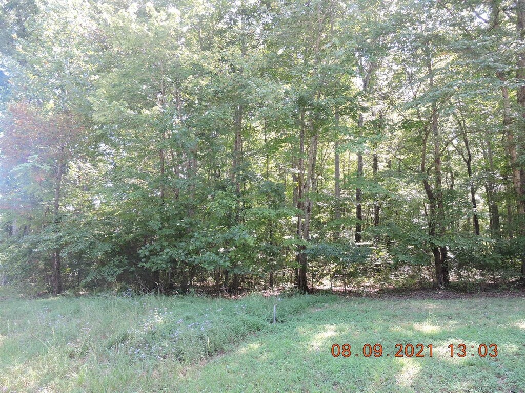 0 Hasty Ln, Estill Springs, TN 37330 - photo 1
