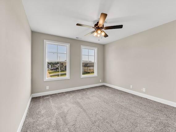 173 Cardinal Crk, Clarksville, TN 37040 - photo 21