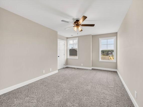 173 Cardinal Crk, Clarksville, TN 37040 - photo 19