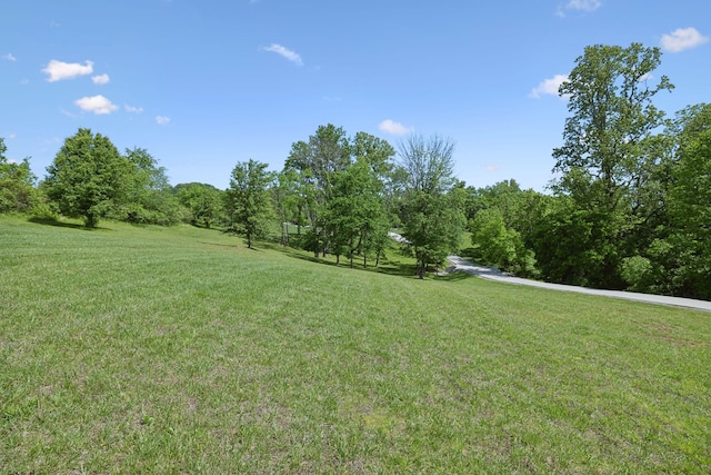 4160 Clovercroft Rd, Franklin, TN 37067 - photo 73