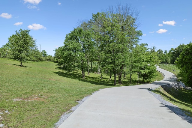 4160 Clovercroft Rd, Franklin, TN 37067 - photo 74