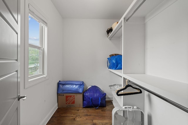 spacious closet featuring wood finished floors