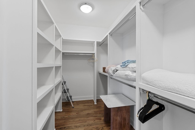 walk in closet featuring dark wood-style flooring