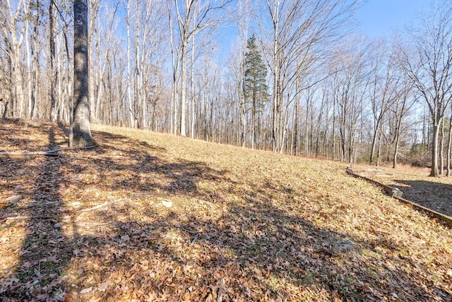 3854 Stevens Ln, Nashville, TN 37218 - photo 34