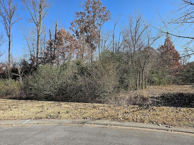 0 Scottish Dr, Murfreesboro, TN 37128