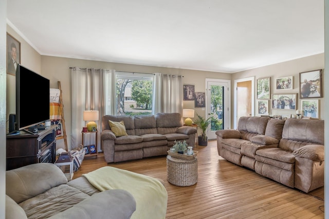 living room with crown molding and light wood-style floors