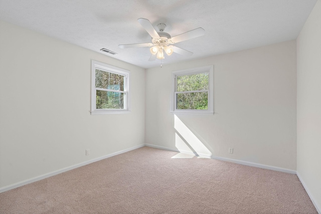 8511 Newsom Station Rd, Nashville, TN 37221 - photo 13