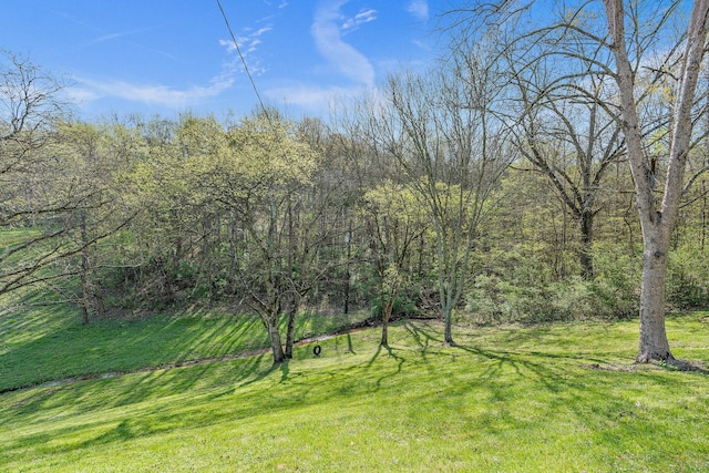 8511 Newsom Station Rd, Nashville, TN 37221 - photo 19