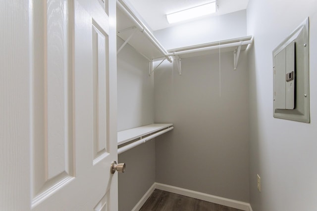 walk in closet featuring dark wood finished floors and electric panel