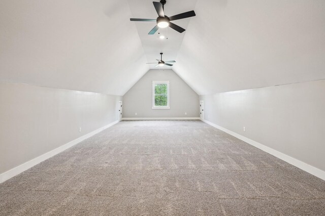 971 Belmont Rd, Clarksville, TN 37040 - photo 23