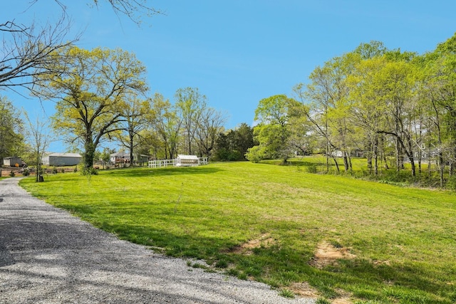 971 Belmont Rd, Clarksville, TN 37040 - photo 6
