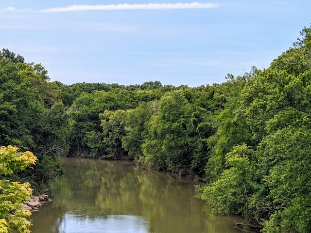 property view of water featuring a wooded view