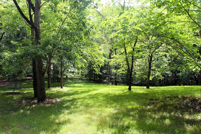 view of yard featuring a wooded view