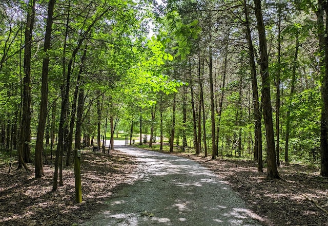 view of community featuring a view of trees