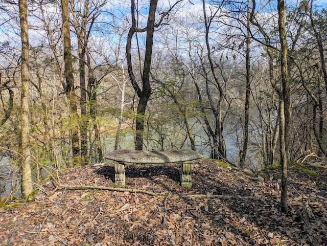 view of local wilderness featuring a wooded view