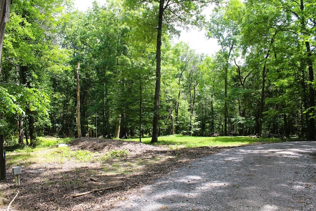 view of nature featuring a view of trees