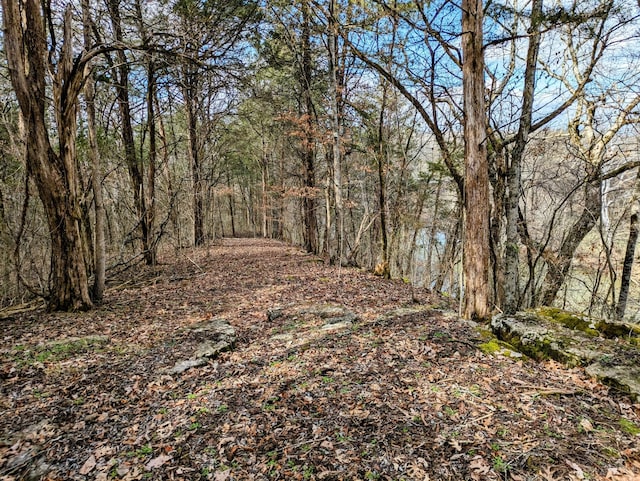 view of landscape featuring a wooded view
