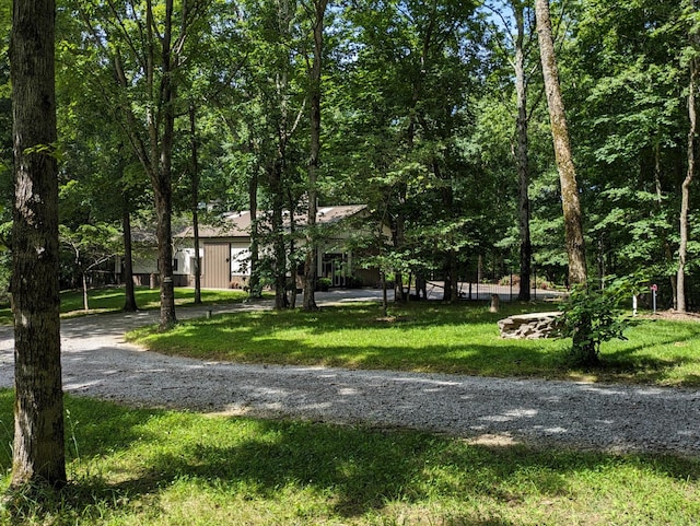 view of property's community with a yard
