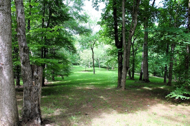 view of landscape