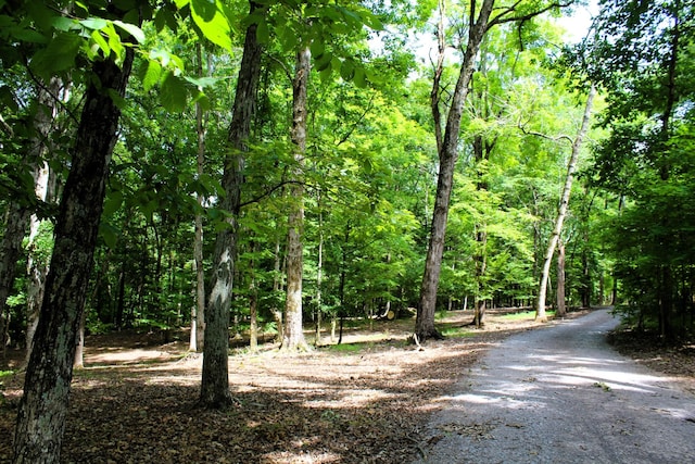 view of street featuring a view of trees